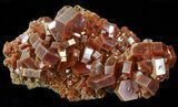 Lustrous Red Vanadinite Crystals on Matrix - Morocco #42209-1